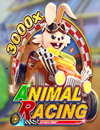 เว็บ sbobet ดี ไหม? มารีวิวกันดูเลย!